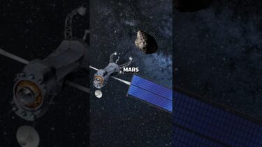What Surprising News is Coming from SpaceX and NASA?