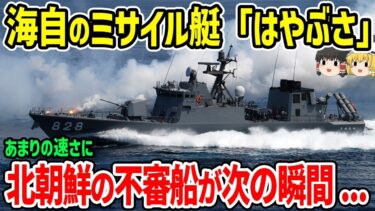 海上自衛隊ミサイル艇が無双！あまりの速さに北朝鮮不審船が…