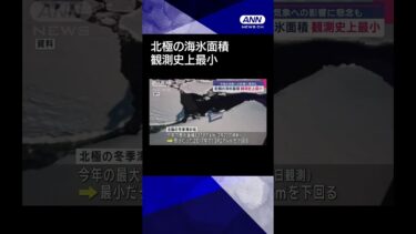 【ニュース】北極の海氷面積が観測史上最小　今後の気象への影響に懸念も #shorts