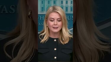 トラン大統領　ホワイトハウス報道官 「パウエルFRB議長は政治的な行動を起こしている」  #トランプ #frb #パウエル議長 #米金利 #利下げ