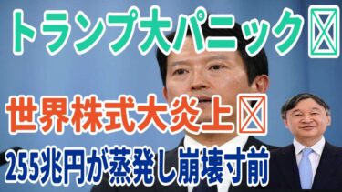 株式市場255兆円消滅！世界同時崩壊の始まりか？トランプ大暴走でテスラ株崩壊でマスクが10兆円損失！関税戦争で3兆円報復！カナダ・中国の怒りが爆発