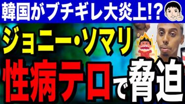 【ゴキブリの人権を無視してるw❓ゴキブリに謝れ〜🥰🥰🥰】韓国人ブチギレ大炎上！？迷惑YouTuberジョニー・ソマリが性病テロで脅迫！