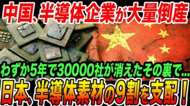 中国半導体産業の崩壊と日本の静かな復活！3万社が消えた衝撃の真実【海外の反応】