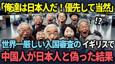 【海外の反応】「私たちは日本人だ！優先されるのは当たり前だ！」”自称”日本人の団体が若手入国審査官を殴りつけた結末