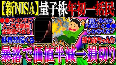 【新NISA】量子株で年初一括民、暴落で一瞬で価値半減し損切りへ…【2ch投資スレ/お金/米国株/S&P500/NASDAQ100/FANG/2244/IONQ/RGTI/QUBT/量子コンピュータ】