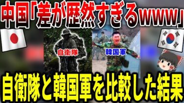 中国「差が歴然すぎる!!」日本と韓国の軍事力を比較した結果…w