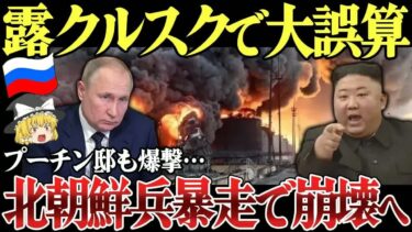 【ゆっくり解説】ロシア大誤算！クルスクの北朝鮮兵が暴走！？ウ軍が長距離ミサイル「ストームシャドウ」でロシア領攻撃！プーチン邸にいた北朝鮮軍司令官も被弾か。ロシア本土奥地の兵器工場もドローンで襲撃！