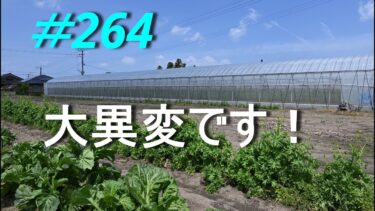 【異常気象】今年の気象は破格に違います　2025/04/17