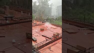 もうこれは異常気象ですね