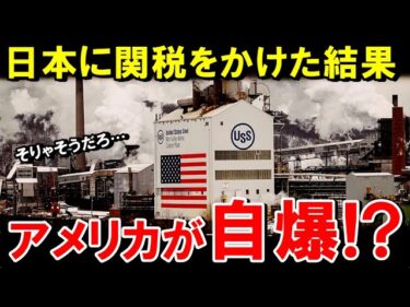【海外の反応】日本に関税をかけたアメリカ、自爆して窮地に…トランプ政策で崩壊寸前？【世界のJAPAN】