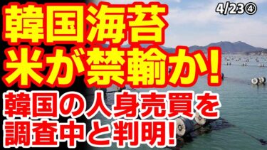 人権問題で韓国海苔に制裁か！韓国の闇を米国が調査している模様！　25/4/20報道【ニュース･スレまとめ･海外の反応･韓国の反応】