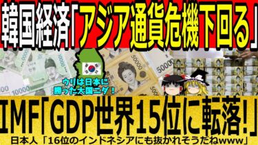 【海外の反応】韓国経済「アジア通貨危機下回る」IMF「GDP世界15位に転落！」【ゆっくり解説】