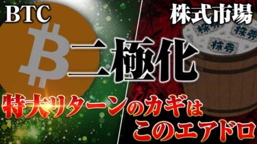 【仮想通貨】ビットコインに光、株式市場に影──迫るリーマンショック級の危機と“デジタルゴールド”への資金逃避！ #投資初心者 #お金の勉強 #資産形成