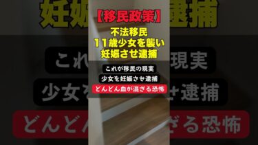 【移民政策】不法移民が11歳少女を襲い妊娠させ逮捕。少女はその後出産 #テネシー州