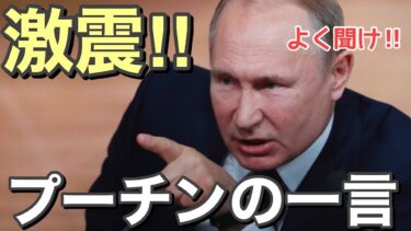 【海外の反応】日本の軍事力と自衛隊の戦闘能力は中国に勝てるのか？ ロシアのプーチン大帝が語る驚愕の真相とは？【にほんのチカラ】