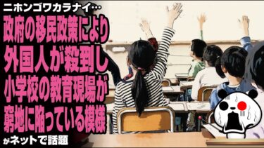 【ニホンゴワカラナイ】政府の移民政策により外国人が殺到し、小学校の教育現場が窮地に陥っている模様が話題