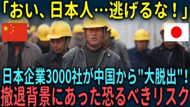 【海外の反応】「おい、日本人…逃げるな！」日本企業3000社が中国から”大脱出”！撤退背景にあった恐るべきリスクとは