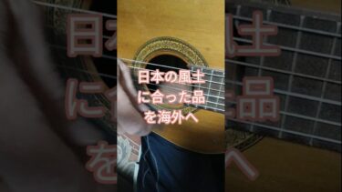 日本の風土に合った品を海外へ #shortsエンタメ音楽歌ギターで楽しくオリジナル
