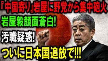 【日本外交の迷走】『中国寄り』岩屋に野党から集中砲火!!岩屋毅顔面蒼白!汚職疑惑! ついに日本国追放で!!!【国民の決断・解説】
