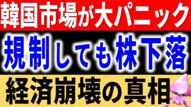 隣国の株式市場の下降線が制御不能状態。リコール・空売り規制・経済あらゆる不安要素の韓国株が遂に世界から見放される。【令和のスルメ】