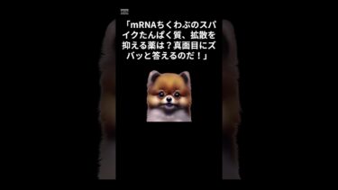 ちくわぶの毒薬で抑えられるか？　#shorts  #国際情勢 #世界ニュース #税制解説 #VOICEVOX #ずんだもん #ショート動画 #経済ニュース