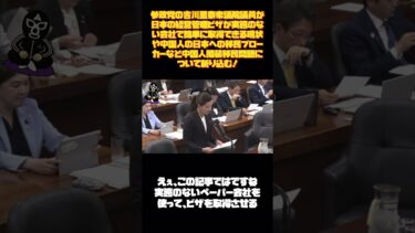 参政党の吉川里奈衆議院議員が日本の経営管理ビザが実態のない会社で簡単に取得できる現状や中国人の日本への移民ブローカーなど中国人擬装移民問題について斬り込む！