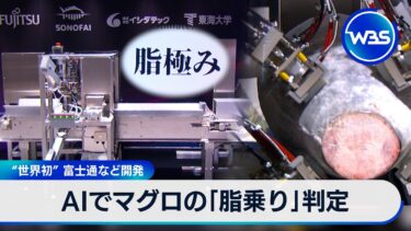“世界初” AIでマグロの「脂乗り」判定する装置を富士通などが開発【WBS】
