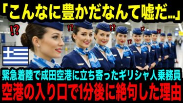 【海外の反応】「日本がこんなに豊かなんて嘘だ…」臨時着陸で成田空港に立ち寄ったギリシャ人乗務員たち、停電が起きた成田空港の姿に絶句した理由とは？