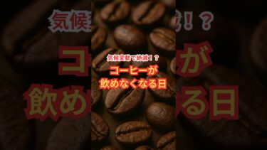 【最悪絶滅⁈】コーヒーが飲めなくなる日#コーヒー危機 #気候変動 #アラビカ種 #サビ病 #環境問題 #絶滅危惧 #未来の食卓 #毎日飲むコーヒー