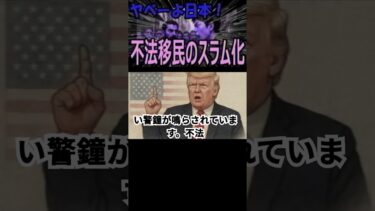 アメリカの移民問題を直視すべき：日本に迫るスラム化の波！不法移民、警察の限界、難民人道支援の本質を探る #移民問題 #アメリカ #不法移民