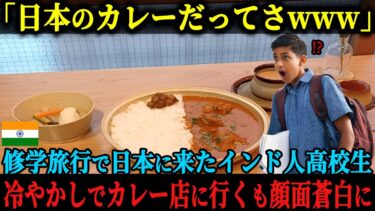 【海外の反応】「日本でカレーなんて冗談だろ」日本へ修学旅行に来たインド人高校生たち、街で見かけたカレー店に冷やかし半分で来店するも、信じられない光景に顔面蒼白に