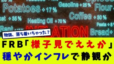 FRB静観で、政策金利は据え置く方針【米国経済】【ネットの反応】【アメリカ経済】