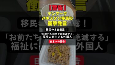 【警告】デンマークのパキスタン移民の衝撃発言「10年後にはデンマーク人より多くなる」福祉に依存する移民問題