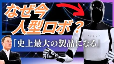 なぜ今、ヒューマノイドロボット開発が世界で加速？ 「テスラも本気」2025年に注目される3つの理由