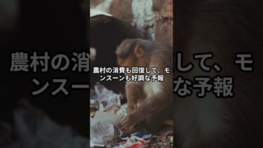 「市場」から「工場」へ…インド経済の大逆転！#インド