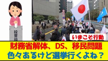 財務省解体、DS、移民問題色々あるけど選挙行くよね？