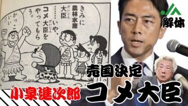 【小泉進次郎】コメ大臣誕生！日本の食料安全保障はどうなる？