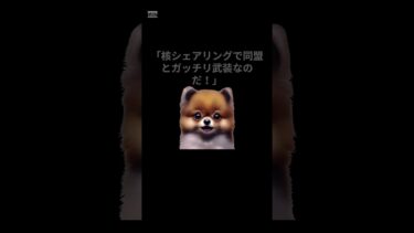 核シェアリングで最強！最強！　#shorts  #国際情勢 #世界ニュース #税制解説 #VOICEVOX #ずんだもん #ショート動画 #経済ニュース