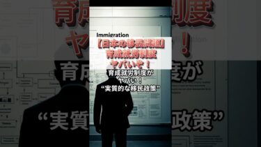 移民問題研究家suzuki#海外移民問題#日本犯罪天国#治安悪化#海外移民研究#移民問題#育成就労制度