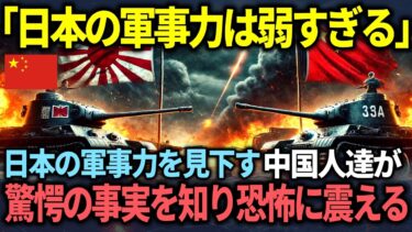 【海外の反応】「日本の軍事力は弱すぎる」と日本の軍事力を見下す中国人が驚愕の事実を知り、絶句する結末！