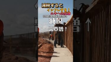 減税するとインフレするニキヘ「じゃあいつなら減税していいんだよ？」