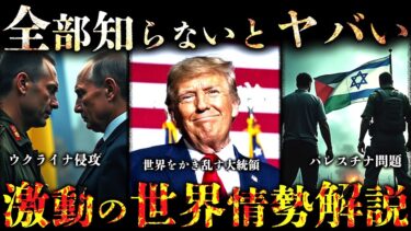 【作業用】たっくーの激動の世界情勢解説まとめ【たっくー切り抜き】
