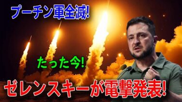 【ウクライナ戦況】最新ニュース 2025年5月31日