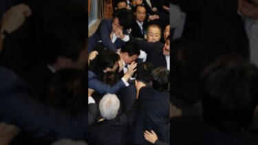 ２０１５年の日本🇯🇵〜「安全保障関連法」の成立、集団的自衛権の行使可能に