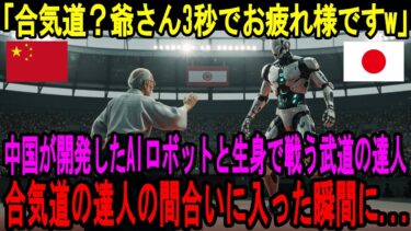 【海外の反応】「AIロボットに勝てるわけがない！」世界中の格闘家たちが中国の軍事企業が開発したAI格闘ロボットに敗北。しかし最後に現れた合気道を極めた日本人の登場で信じられない展開に…【日本称賛】