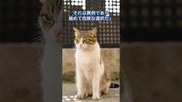 利下げめぐる戦い: 前編 [国債 金利] ベッセント財務長官 vs. FRB #shorts #interestrates #cat