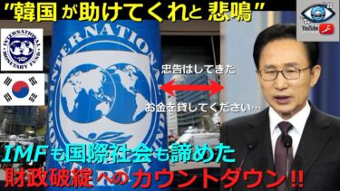 【海外の反応】世界経済の警鐘   隣国の危機から見る日本の立ち位置