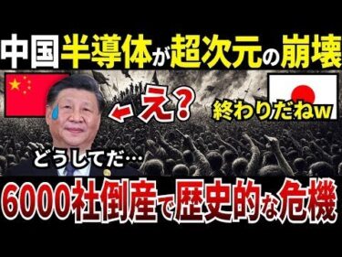 【ゆっくり解説】なぜ中国の半導体関連の6000社が倒産して超次元の崩壊を迎えてしまったのか？ mp4