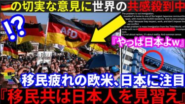 🇩🇪『移民は日本人を見習え💢』欧米諸国の日本人移民、賞賛され同感意見が続出し、話題に。