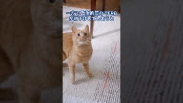 利下げめぐる戦い: 後編 [国債 金利] ベッセント財務長官 vs. FRB #shorts #cat  #interestrates